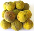 Santol